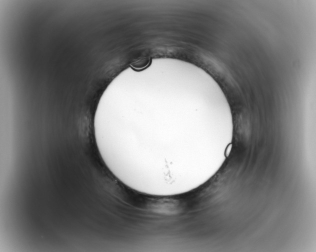 X0000096460463200802141536