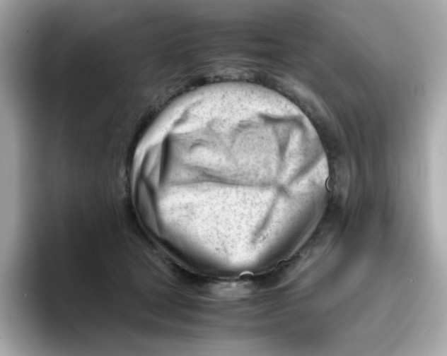 X0000096460465200802141536