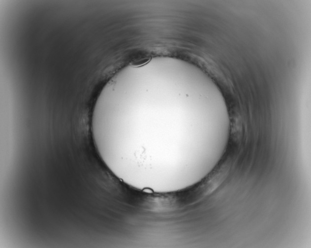 X0000096460466200802141536