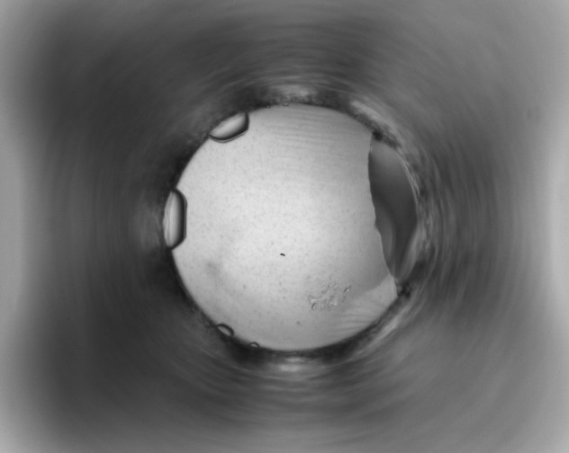 X0000096460467200802141536