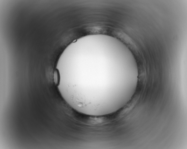 X0000096460469200802141536