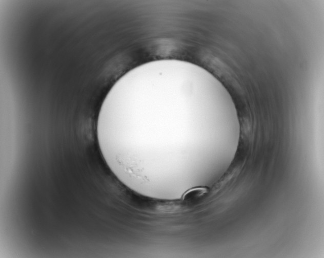 X0000096460470200802141536