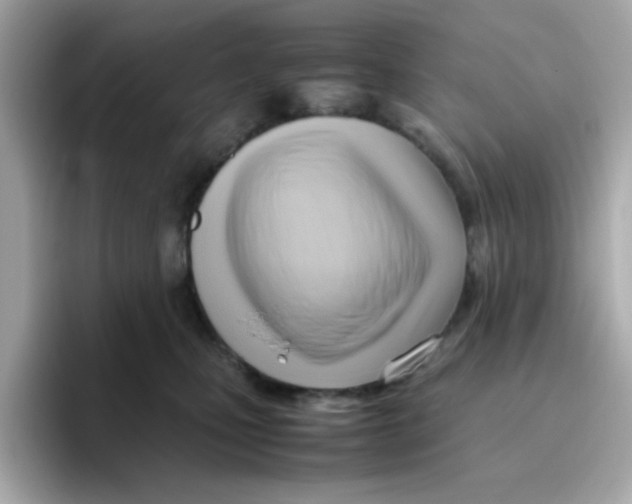 X0000096460471200802141536