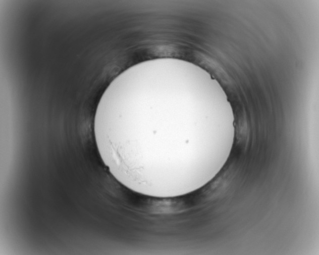 X0000096460473200802141536