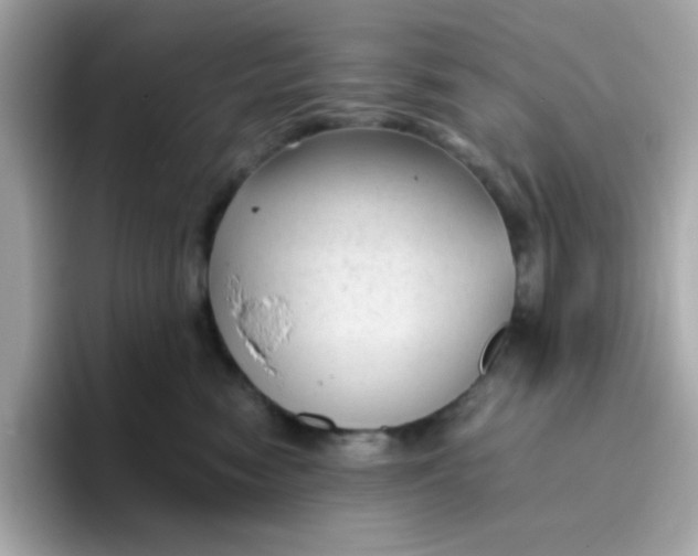 X0000096460474200802141536