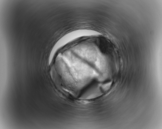 X0000096460475200802141536