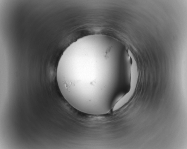 X0000096460476200802141536