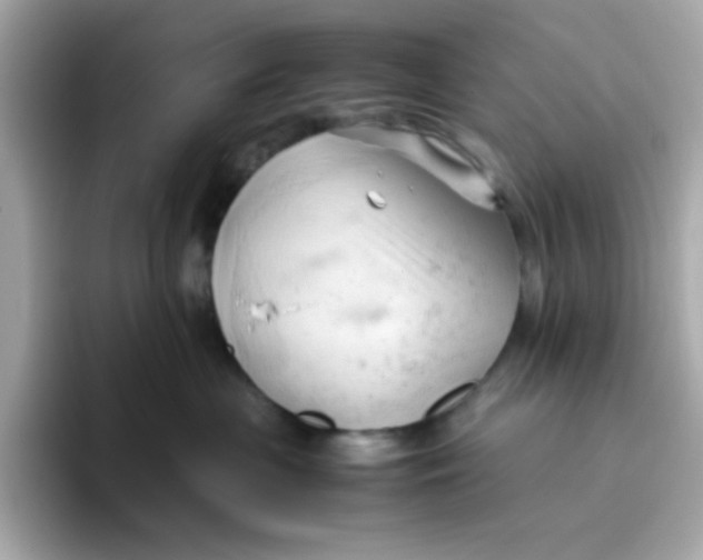 X0000096460477200802141536
