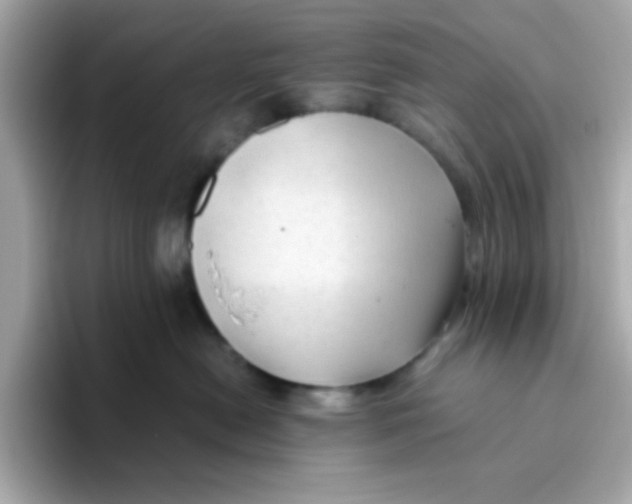 X0000096460478200802141536