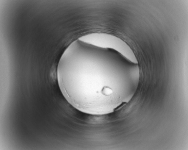 X0000096460479200802141536