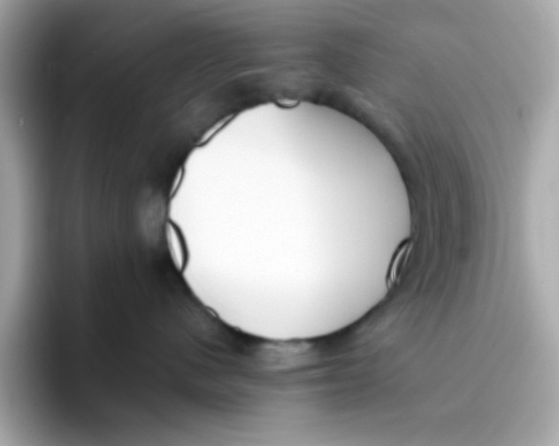 X0000096460480200802141536