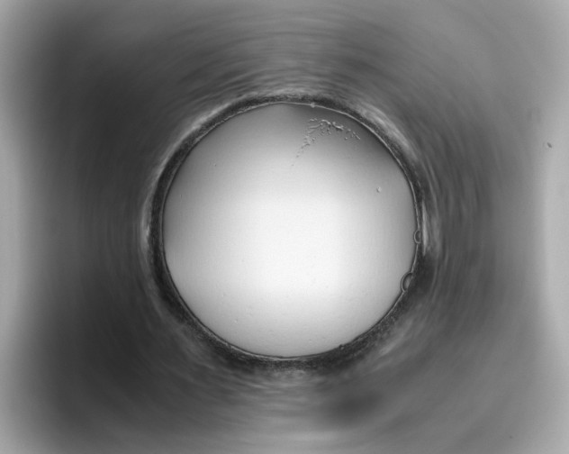 X0000096460483200802141535