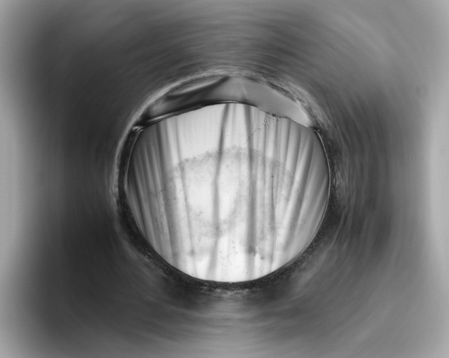 X0000096460484200802141535