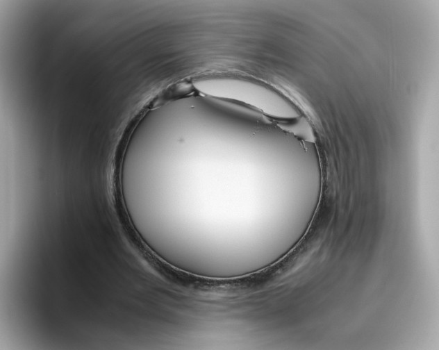 X0000096460485200802141535