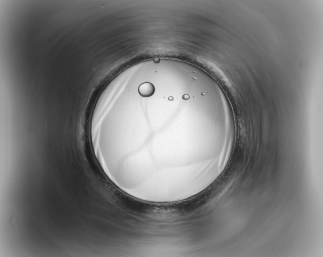 X0000096460487200802141535