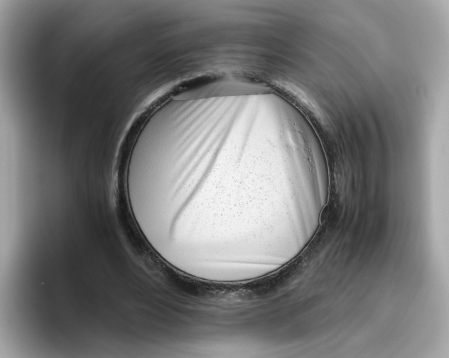 X0000096460488200802141535