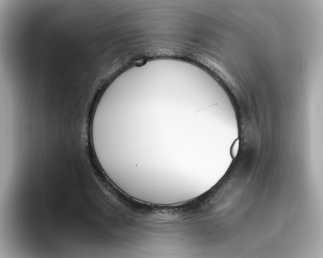 X0000096460489200802141535