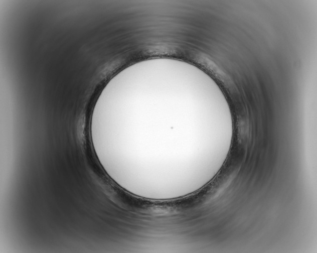 X0000096460490200802141535
