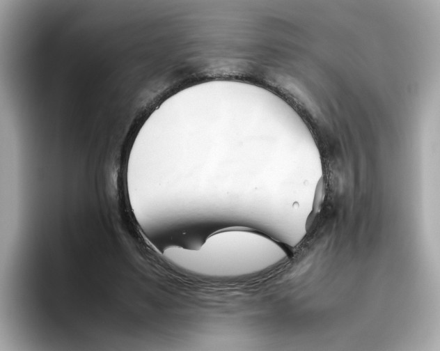X0000096460491200802141535
