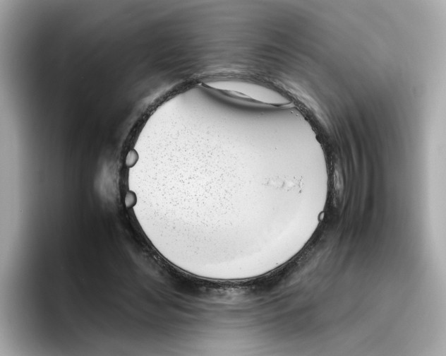 X0000096460492200802141535