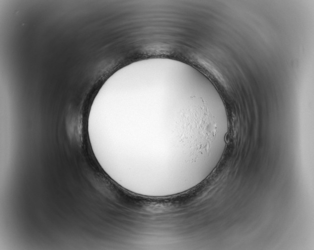 X0000096460494200802141535