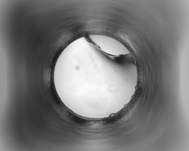 X0000096460495200802141535