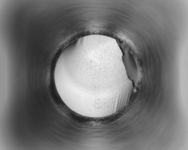 X0000096460496200802141535