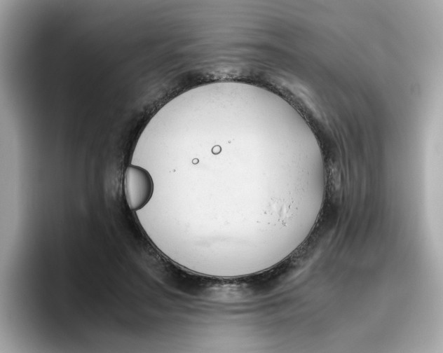 X0000096460499200802141535