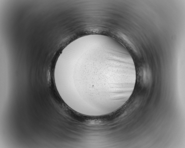 X0000096460500200802141535