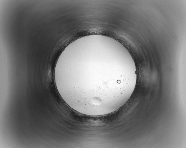 X0000096460502200802141535
