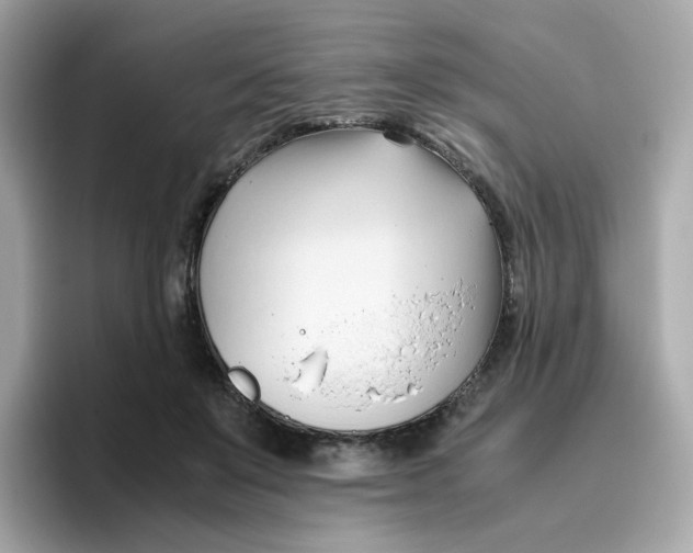 X0000096460503200802141535