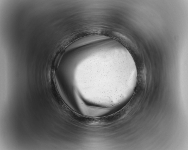 X0000096460504200802141535
