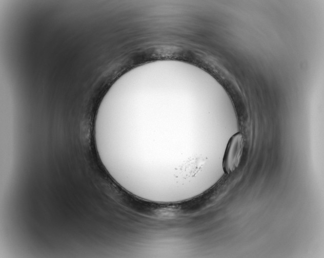 X0000096460505200802141535
