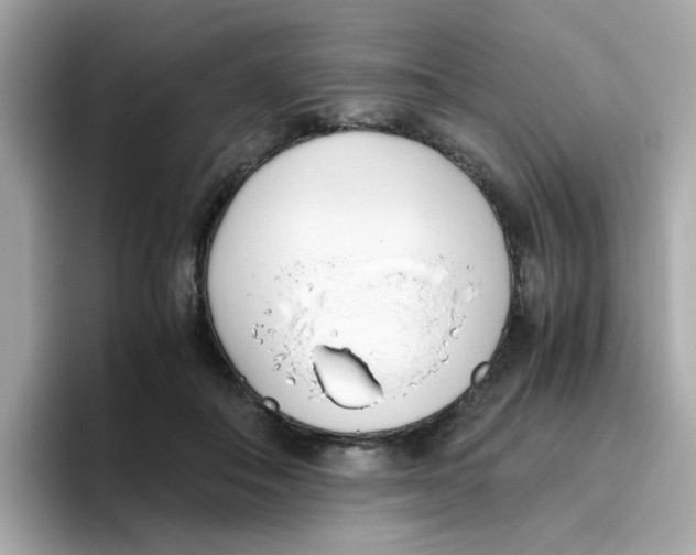 X0000096460506200802141535