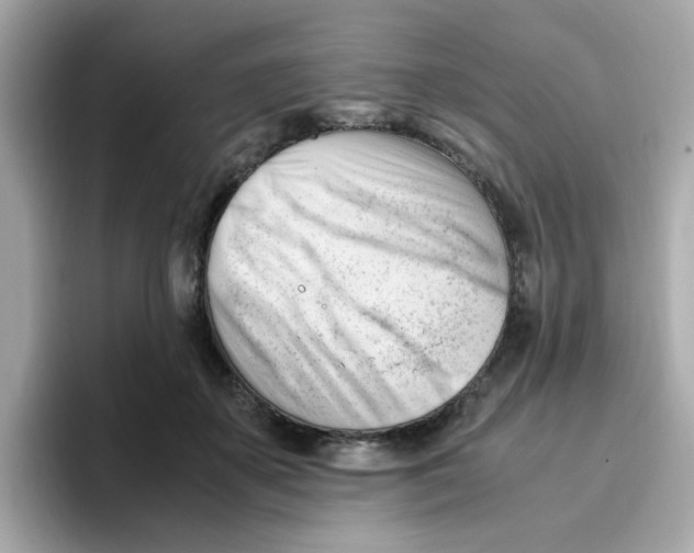 X0000096460507200802141535
