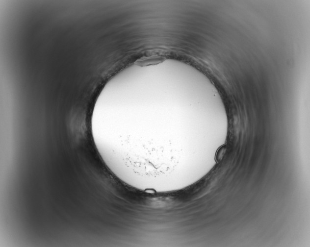X0000096460508200802141535