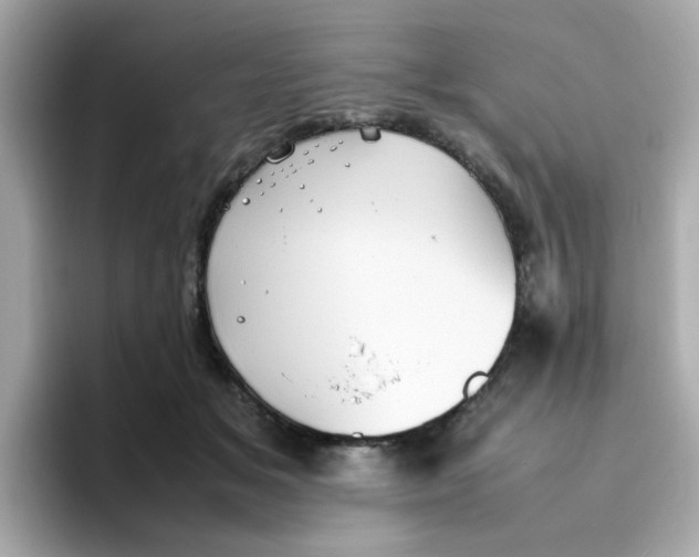X0000096460509200802141535