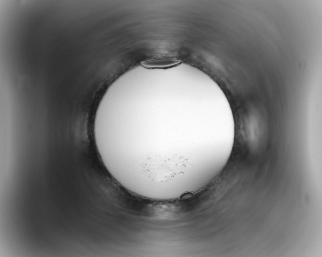 X0000096460512200802141535