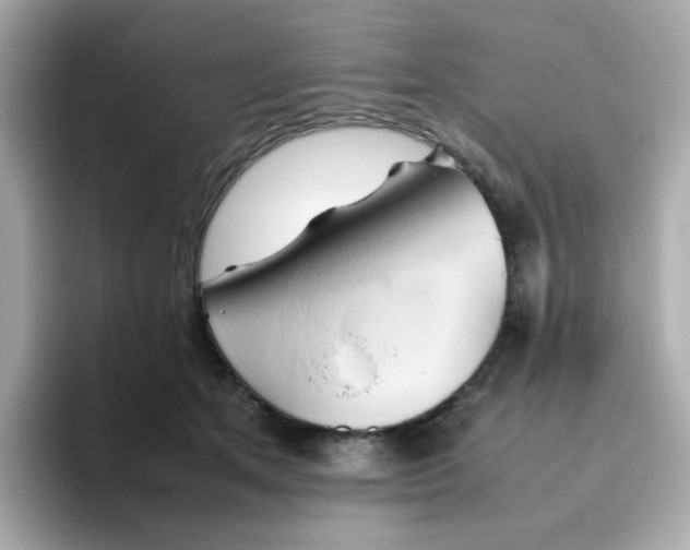 X0000096460513200802141535