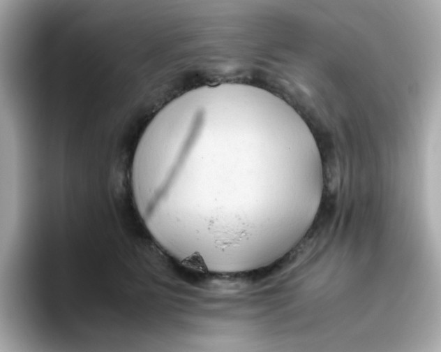 X0000096460515200802141535