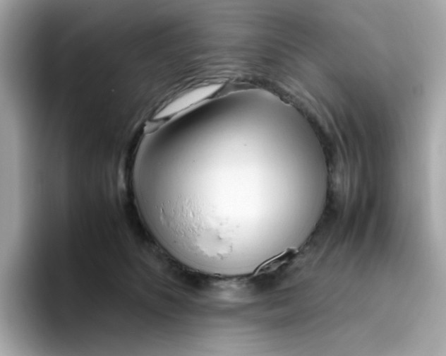 X0000096460516200802141535