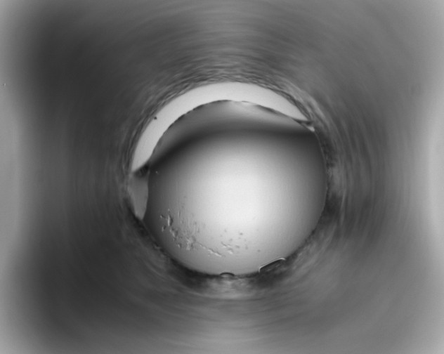 X0000096460517200802141535
