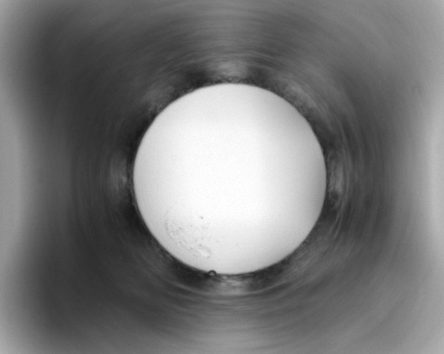 X0000096460518200802141535