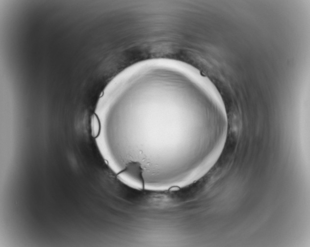 X0000096460519200802141535