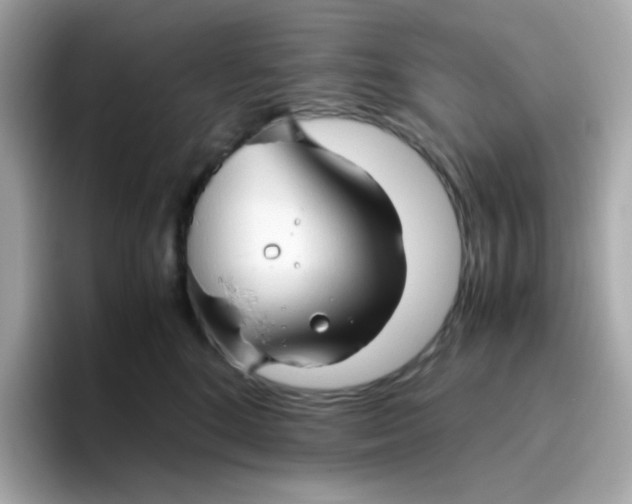 X0000096460520200802141535