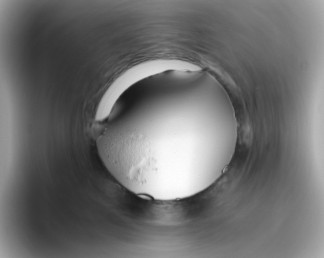 X0000096460521200802141535