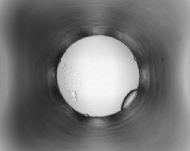 X0000096460522200802141535