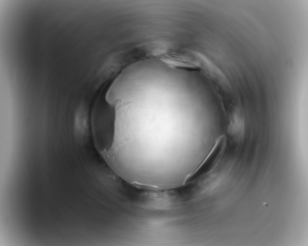 X0000096460524200802141535