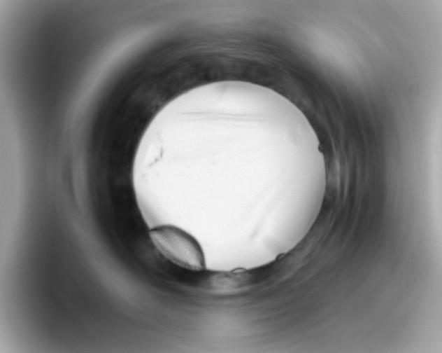 X0000096460526200802141535
