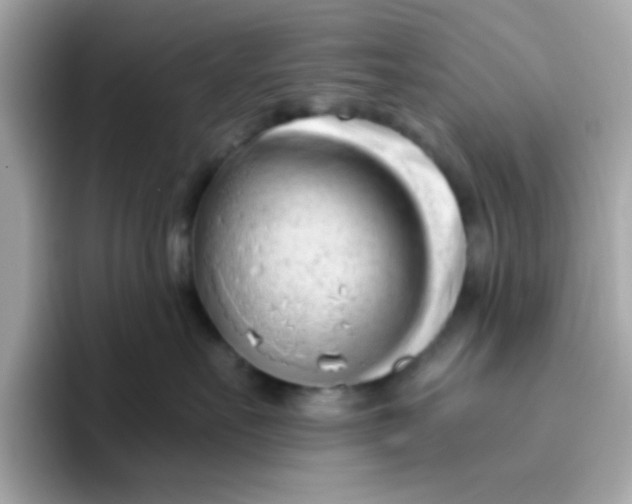 X0000096460527200802141535
